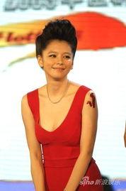 明星娱乐汇,璀璨星光下的精彩瞬间